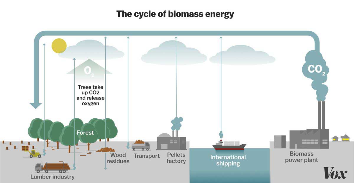 دیاگرام زیست توده (Biomass)