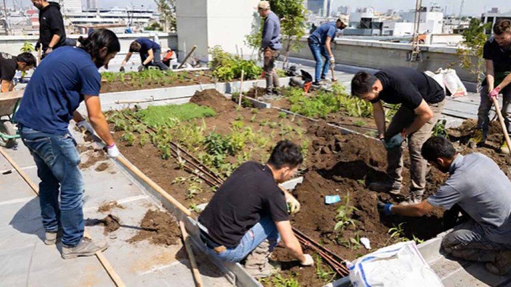 نکات مهم برای ساخت روف گاردن