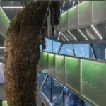 معماری موزه هنر معاصر جدید اثری از رم کولهاس