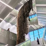 معماری موزه هنر معاصر جدید اثری از رم کولهاس